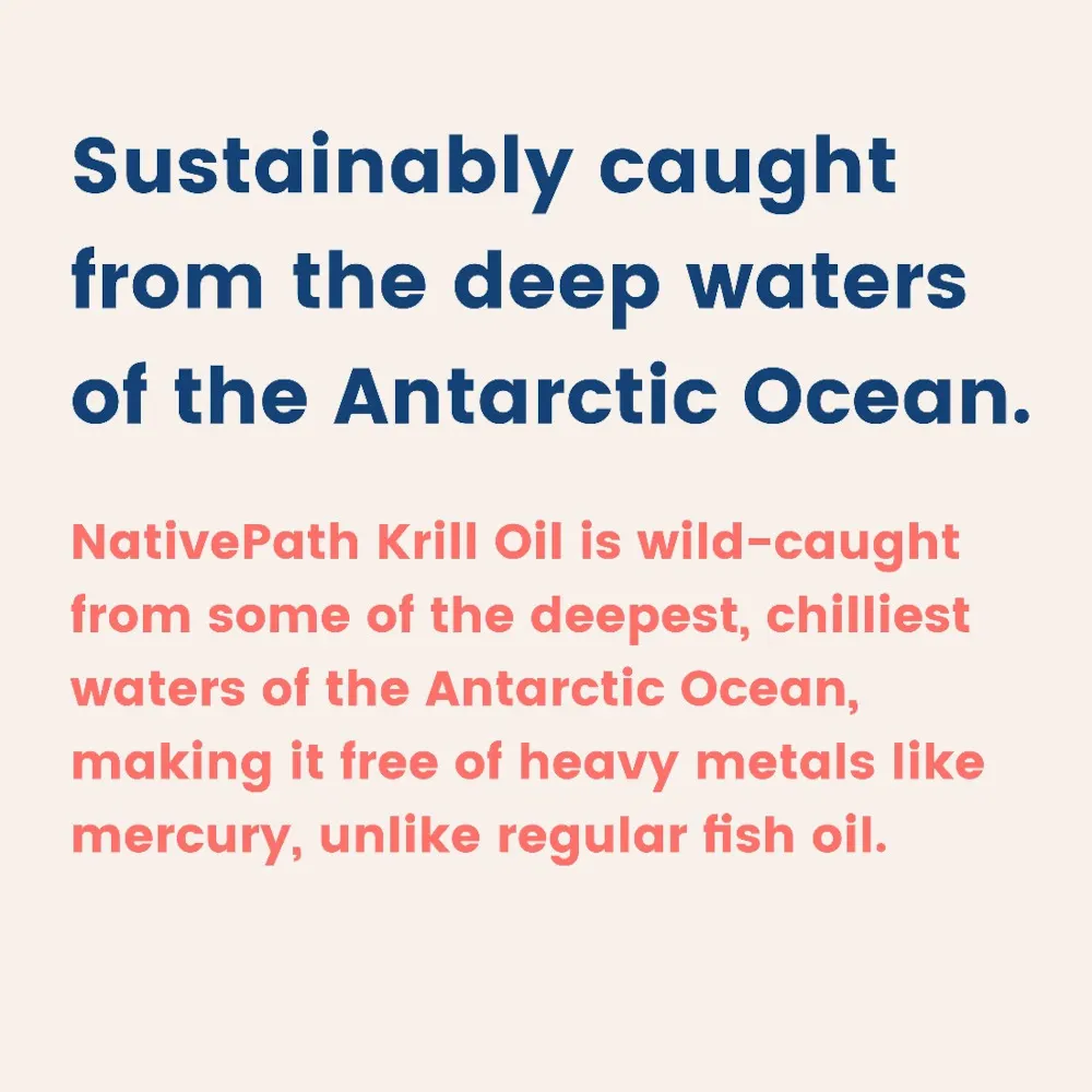 Antarctic Krill Oil - Image 7