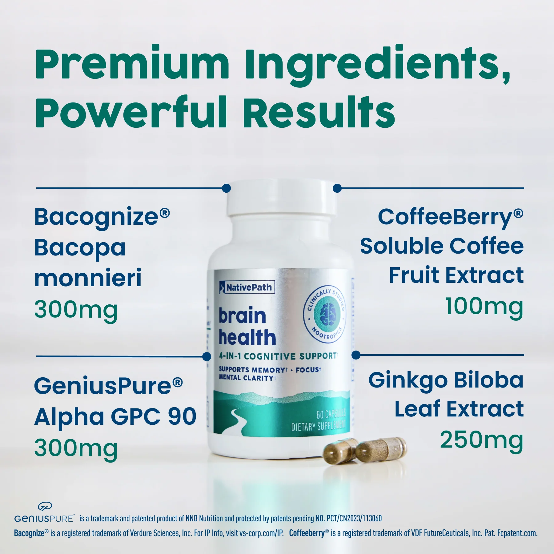 Brain Health - Image 7