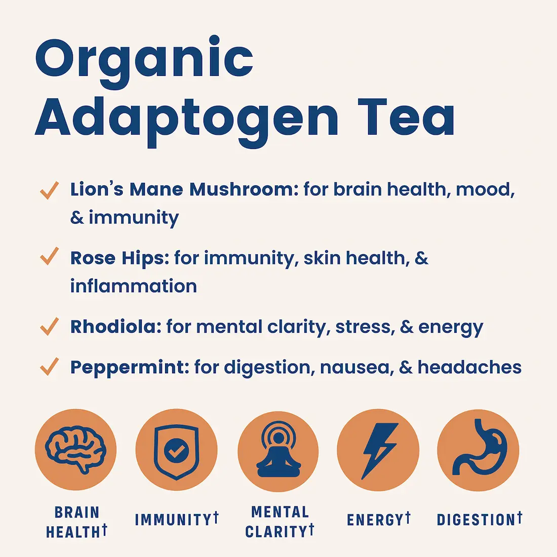 Adaptogen Drink | Native Mind - Image 6