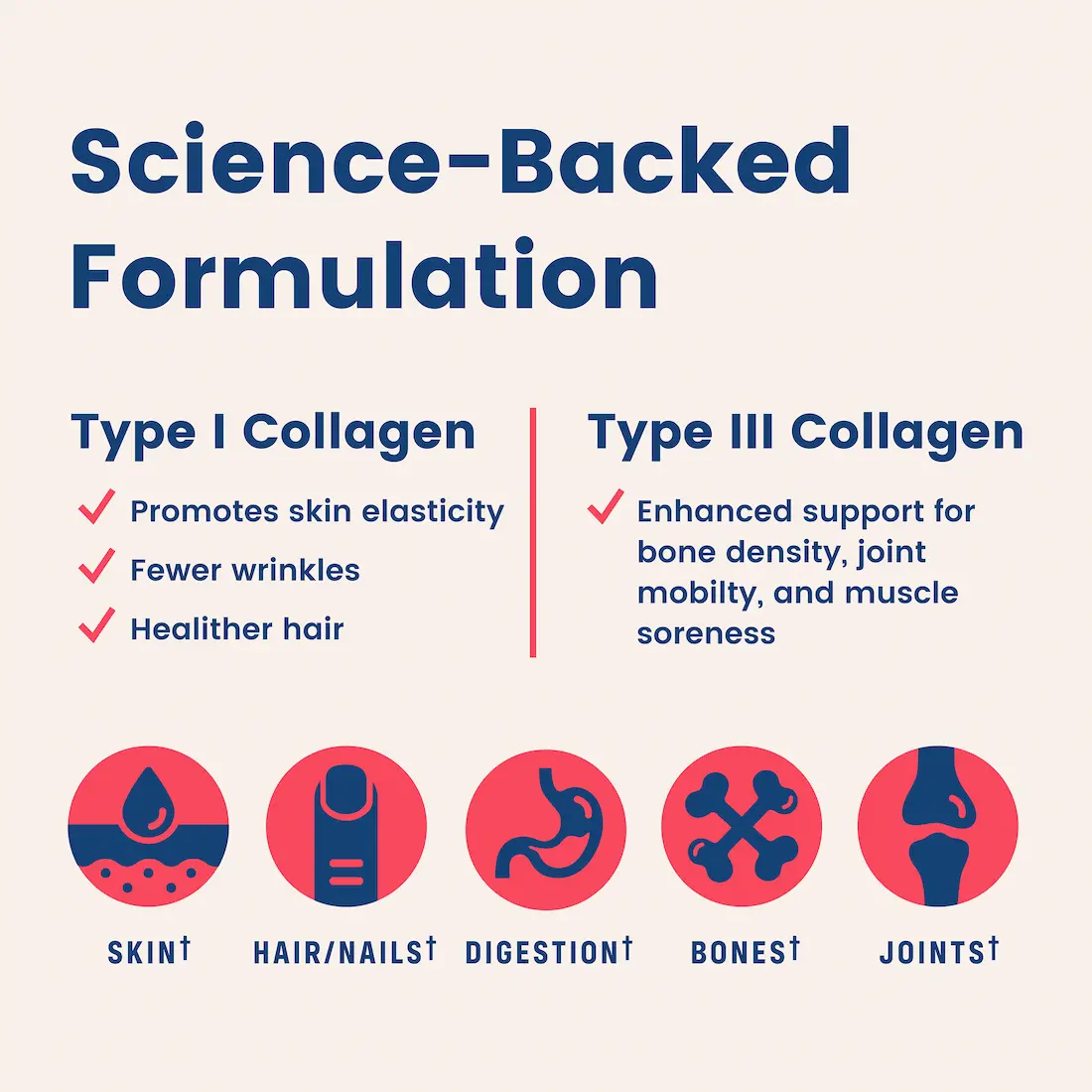 Wild Berry Collagen Peptides - Image 6